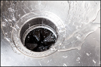 Garbage Disposal Drain