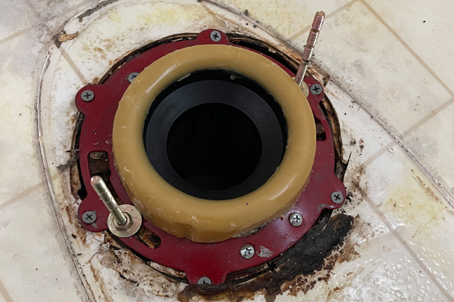Toilet Flange Installation